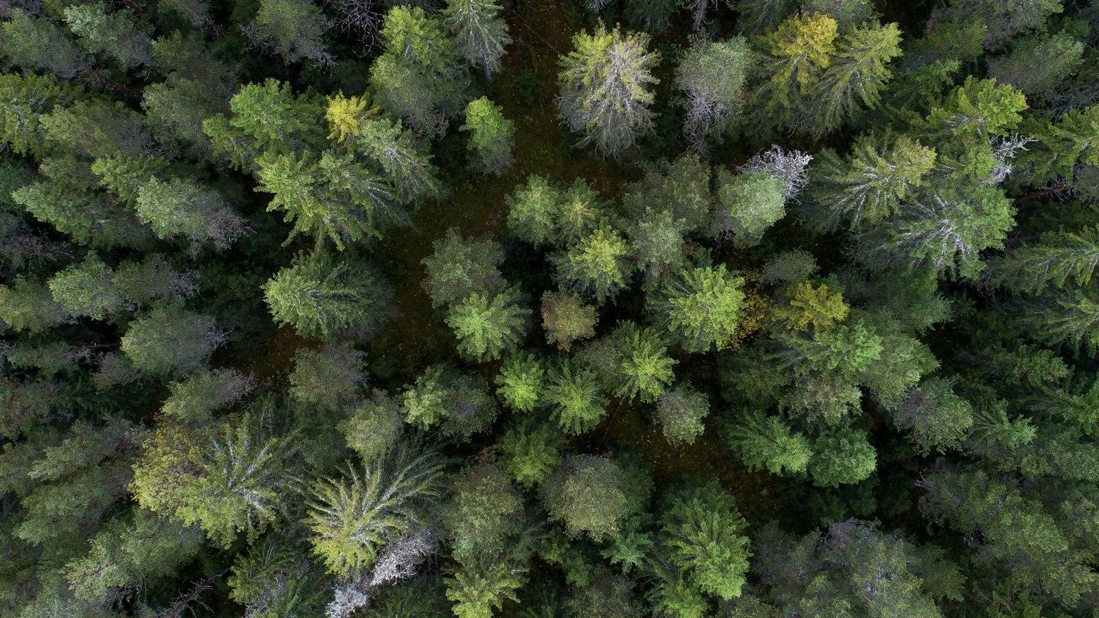 Work Permit Processing Services in Marshall Islands